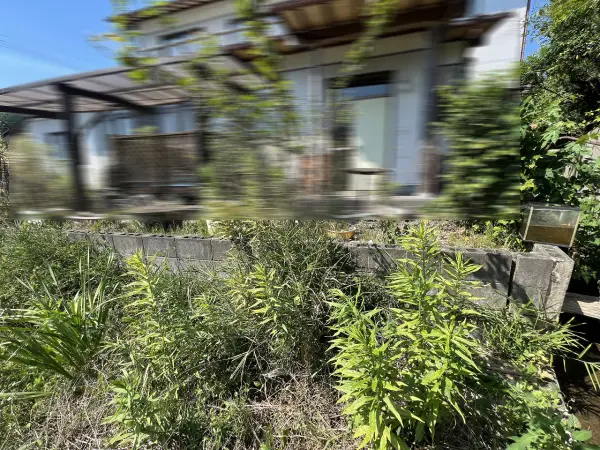 綾部市味方町龍仏