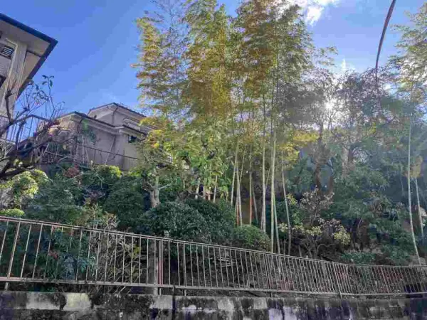 奈良市西登美ヶ丘5丁目