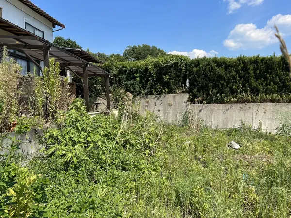 綾部市味方町龍仏