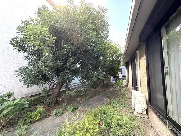 現地写真