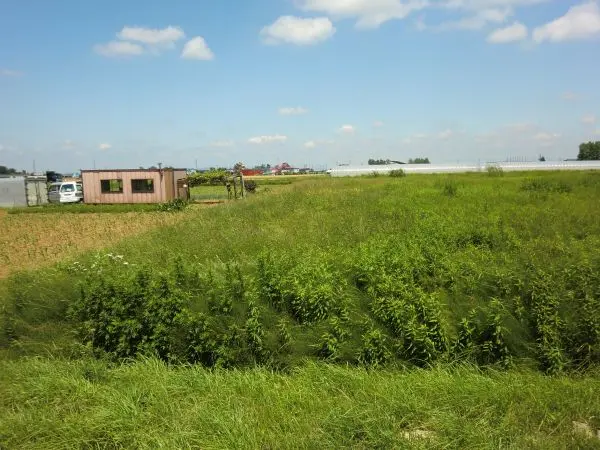 丘珠町844