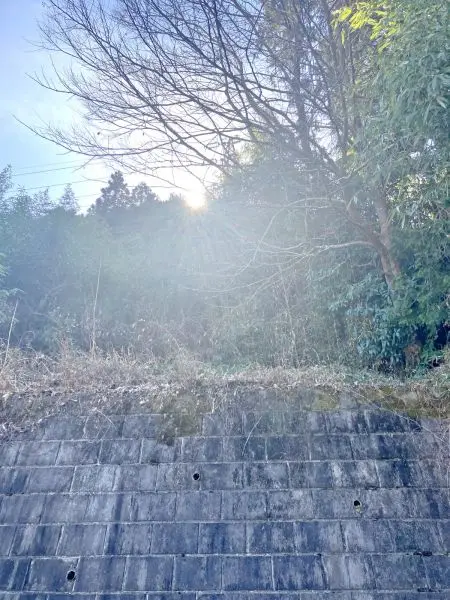 相模原市緑区中野　売地