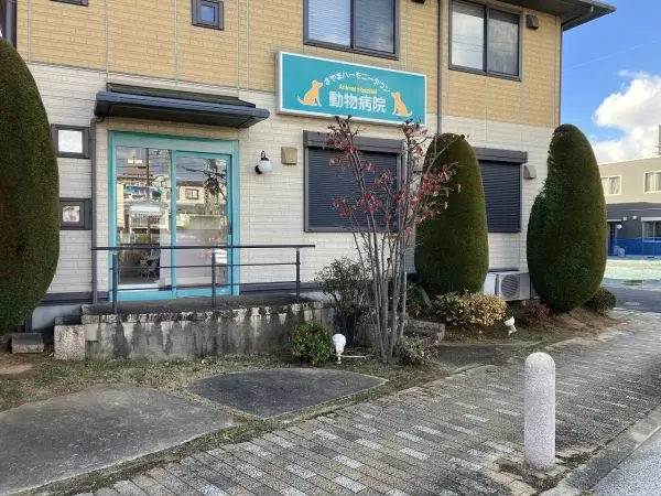 堺市東区南野田店舗付住宅