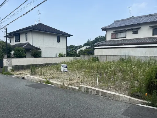 現地写真