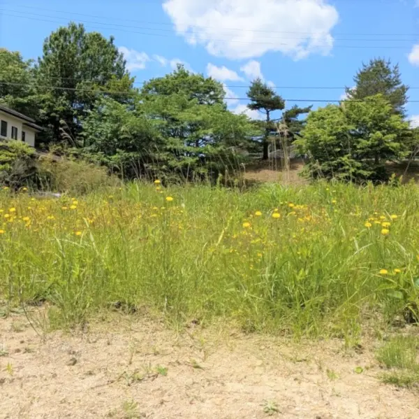 青葉区新川字佐手山