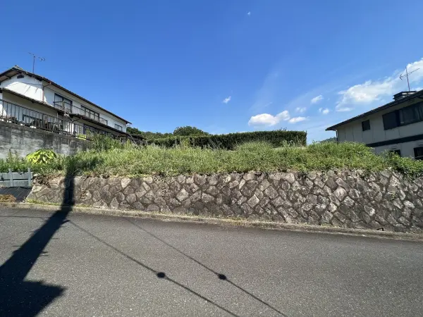 綾部市味方町龍仏