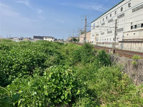 泉北郡忠岡町高月南三丁目　土地