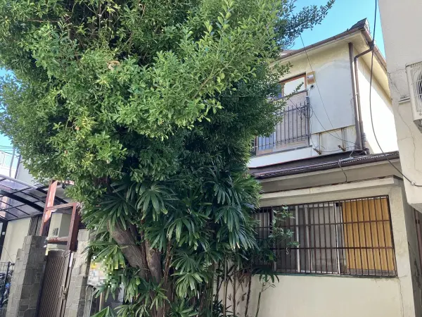 中央区宮本通2丁目