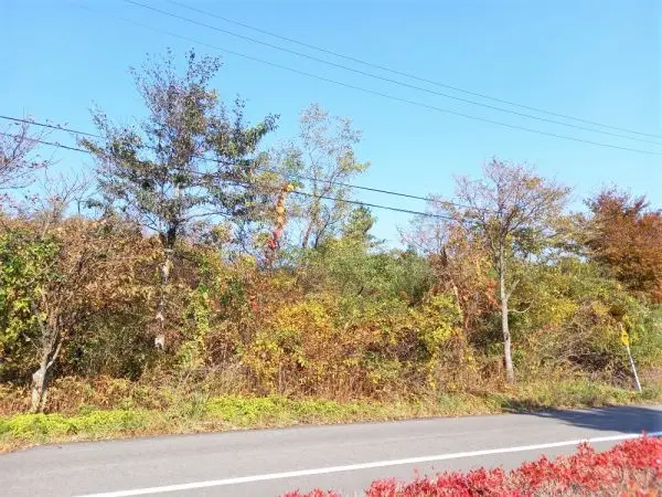 遠刈田温泉字七日原