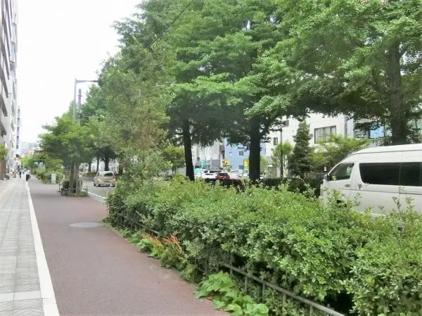 東急ドエルアルス大町