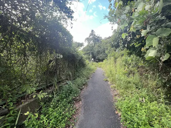亀岡市薭田野町佐伯下峠