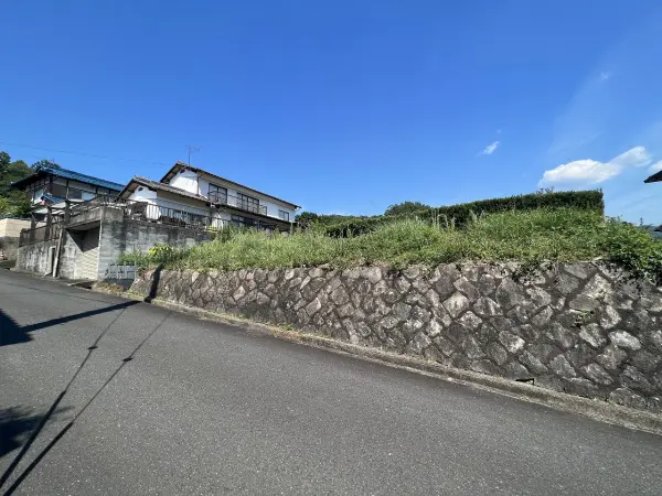 綾部市味方町龍仏