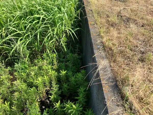 泉北郡忠岡町高月南三丁目　土地
