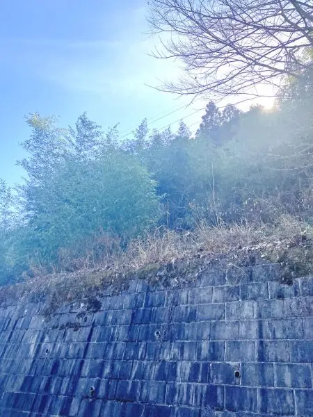 相模原市緑区中野　売地