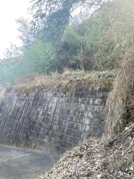 相模原市緑区中野　売地