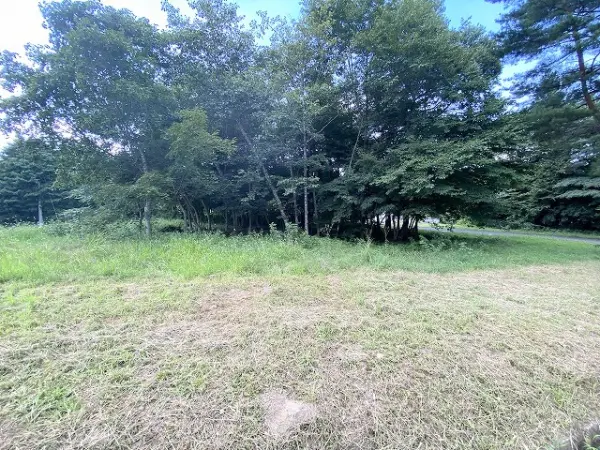 現地土地写真