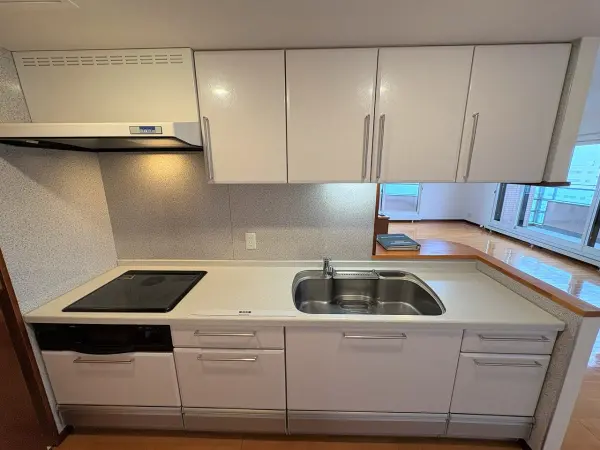 リブウェル真駒内緑町ウエストヴュー