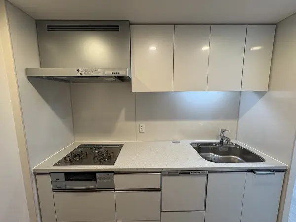 ザ・パークハウス中之島タワー