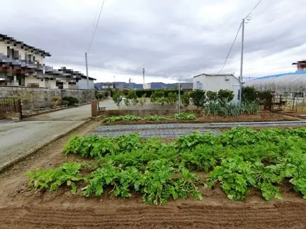 亘理郡亘理町吉田字流・売土地