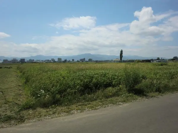 丘珠町844