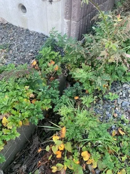 名古屋市昭和区八事富士見