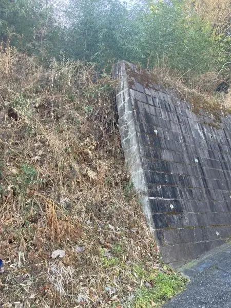 相模原市緑区中野　売地