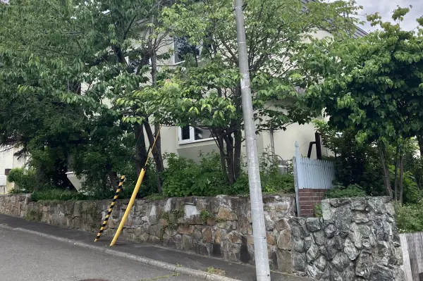 現地写真