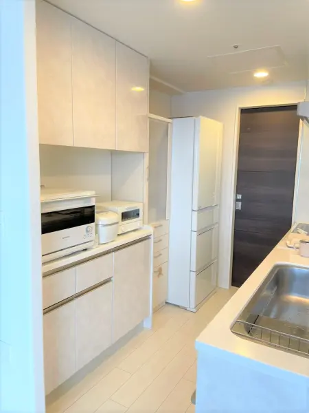 プレミスト新札幌ステーションエクスB棟