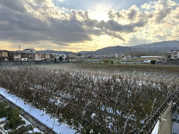 西京区大原野上里鳥見町