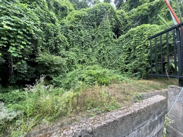 ヒルズ山の寺
