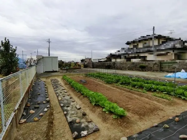 亘理郡亘理町吉田字流・売土地