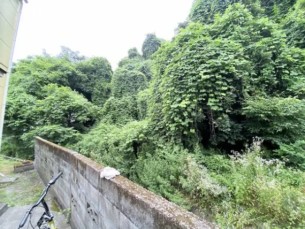ヒルズ山の寺