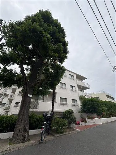 パシフィック魚籃坂