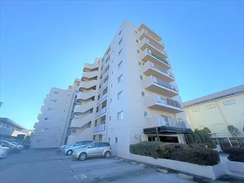 シヤルマン南柏