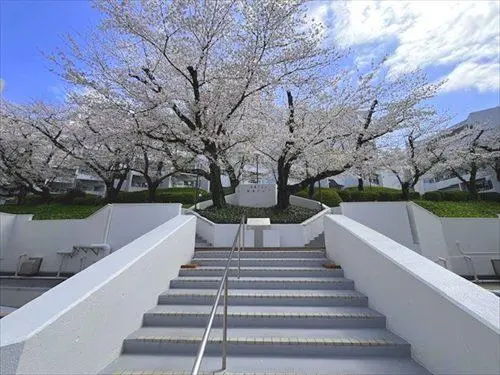 桜台ビレジ