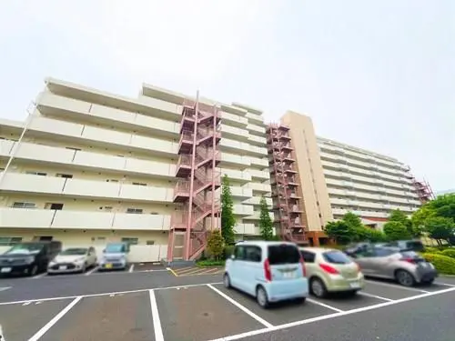 コスモ蕨
