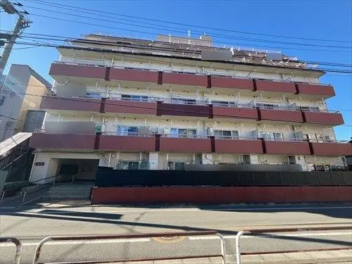 サンライズ蓮根