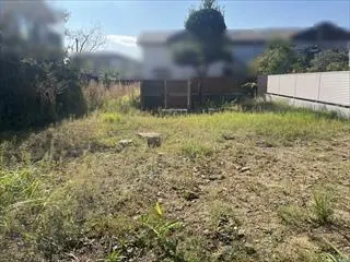 現地写真(2025年10月撮影)