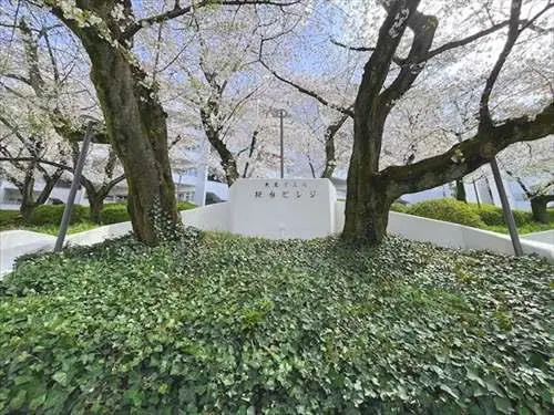 桜台ビレジ