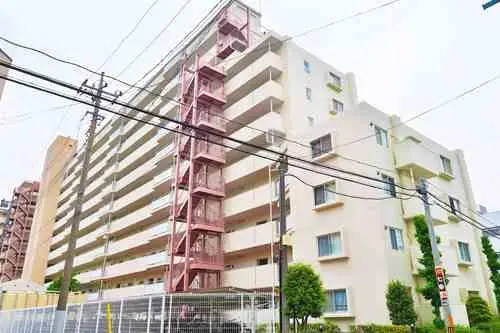 コスモ蕨