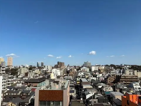 キャッスルマンション根津