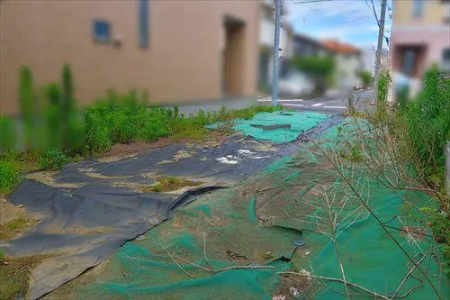 現地（２０２５年６月撮影）