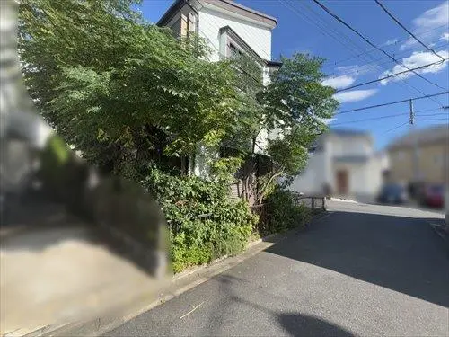 現地写真(2025年10月撮影)