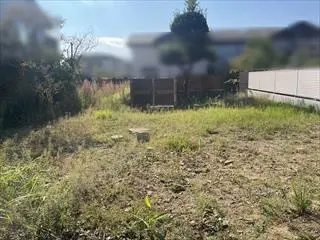 現地写真(2025年10月撮影)