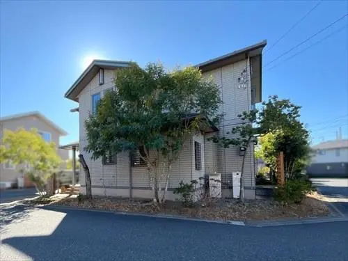 現地（２０２６年１月撮影）