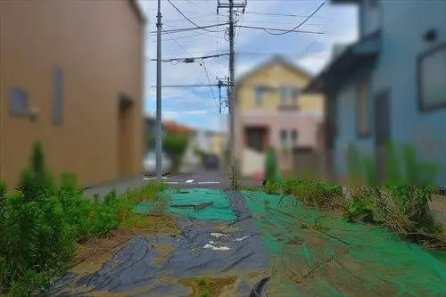 現地（２０２５年６月撮影）