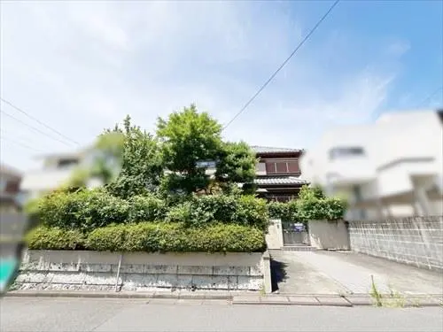 現地（２０２５年７月撮影）