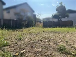 現地写真(2025年10月撮影)