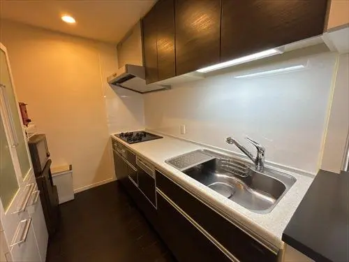 ライオンズ高石