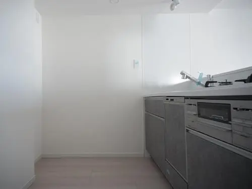 ライオンズステーションプラザ相模大野